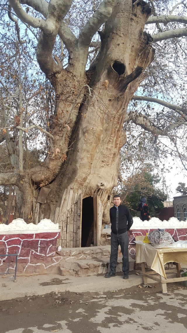A hollowed-out tree used as a shelter, a school, and a place for prayer